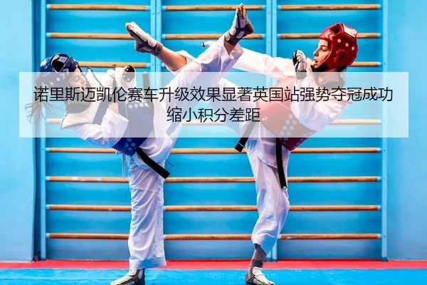 nuo-li-si-mai-kai-lun-sai-che-sheng-ji-xiao-guo-xian-zhu-ying-guo-zhan-qiang-shi-duo-guan-cheng-gong-suo-xiao-ji-fen-2-682.jpg